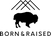 Born & Raised Shop logo