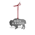 Born & Raised Ornament